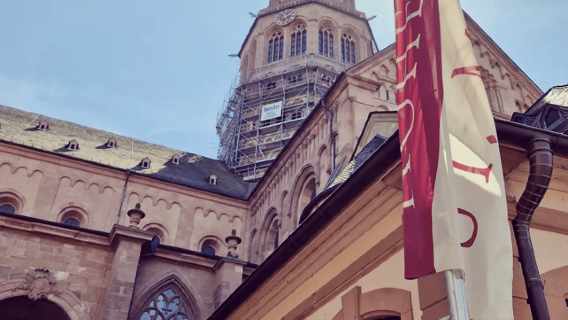 Weingenuss & Mainzer Lebensfreude