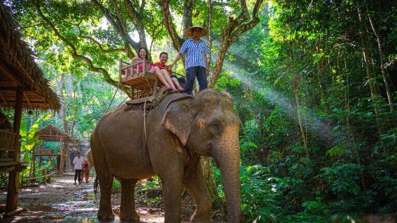 Thailand Koh Chang lawatan sehari [menunggang gajah di hutan · berinteraksi dengan anak gajah bermain air] Pusat Gajah 2 jam
