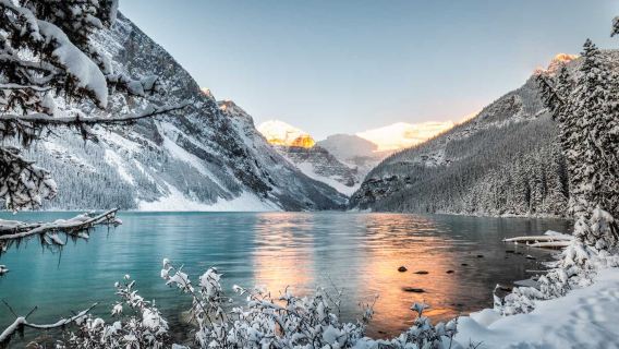 Passeio de um dia de ida e volta de Calgary para Banff nas Montanhas Rochosas no inverno: Lago Louise | Tour em inglês para 12 pessoas