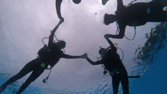 泰國芭達雅格蘭島+閣派島體驗潛水水肺潛水/浮潛/水肺OW考證/水肺潛水攝影8小時【潛水國際中心/含接駁】
