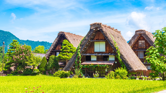 松本市日遊