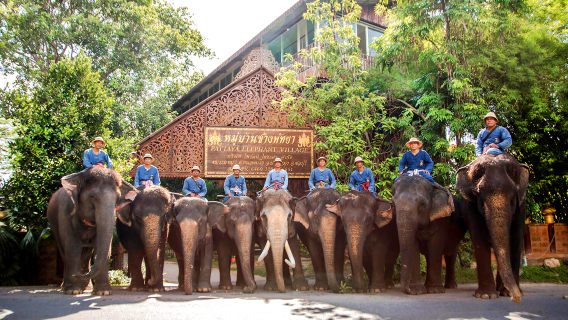 PattayaTours