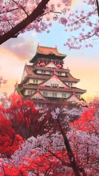 One-Day 10-Seater Private Car Charter from Fukuoka, Kyushu | Customized Tours Covering Itoshima, Kumamoto, Aso, Oita, and Takachiho
