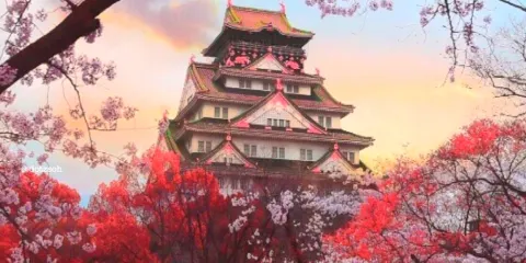 九州福冈出发10座包车一日游|系岛熊本阿苏大分高千穗全境定制