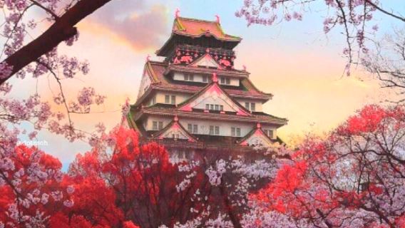 Japan Kyushu Fukuoka / Kumamoto / Aso Mountain / Oita / Beppu / Itoshima One-day Tour