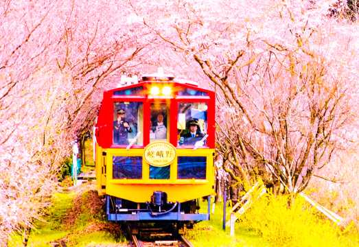 Kyoto Kifune Shrine, Arashiyama, and Sanzen-in Temples: A 9-person Small Group Tour to Enjoy the Cool Summer and Autumn Leaves