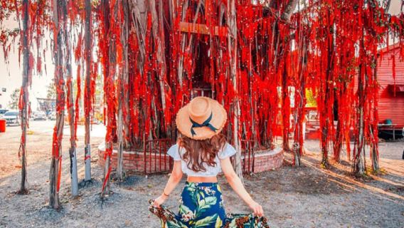 瓜拉雪蘭莪吉隆坡馬來西亞天空之鏡∣藍眼淚∣老鷹捕食∣螢火蟲一日遊