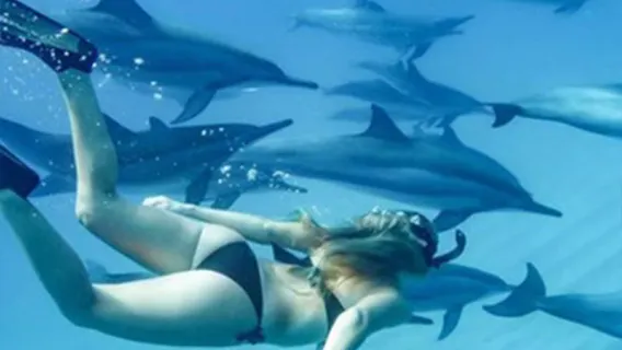 Shared boat whale and dolphin day tour in Mauritius