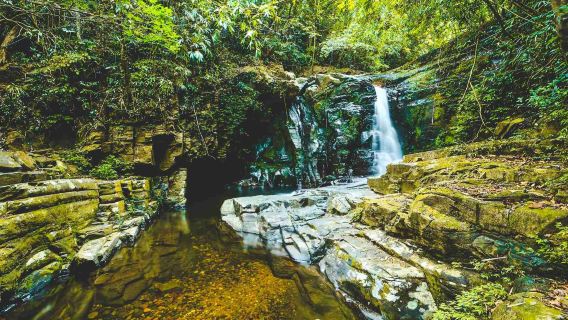 Best Seller of Bach Ma National Park Full-Day Trekking Tour From Hue