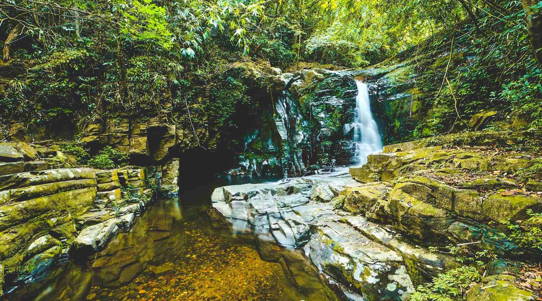 Best Seller of Bach Ma National Park Full-Day Trekking Tour From Hue