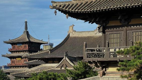 Однодневный тур с индивидуальным трансфером/арендой автомобиля с водителем: Земляные леса Шаньси, древний город Датун, старинный храм Шаньхуа и дворец Дайван с услугами на китайском и английском языках