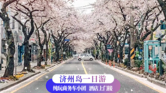 西歸浦市日遊