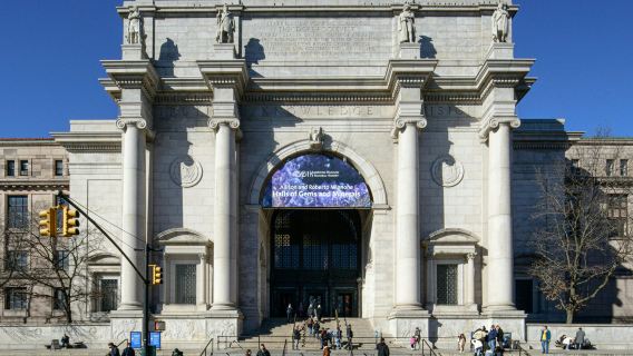 American Museum of Natural History (AMNH): Plus One Ticket