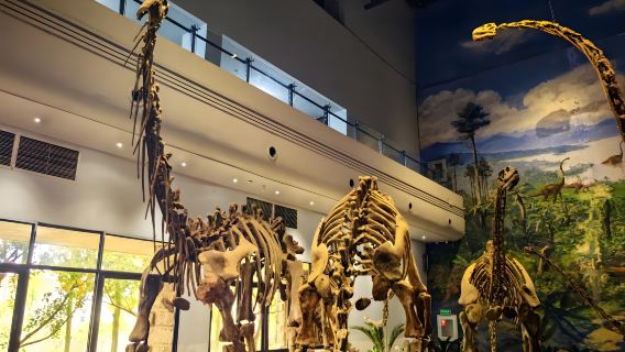Zigong Dinosaurusruiner + Tusindårige Saltbrønde Dagsudflugt/Sommerferie med børn | Udforsk dinosaurerne | Billet ikke inkluderet
