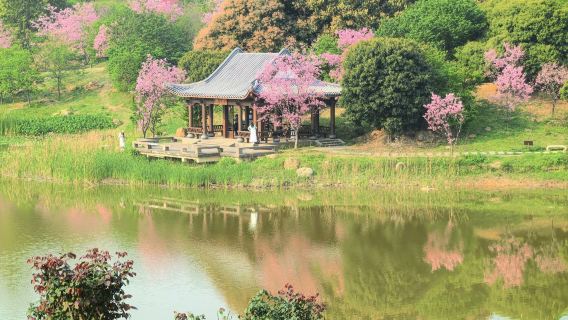 Guangxi Nanning: guide guide/exhibition/business translation English/Russian/Japanese minor languages H