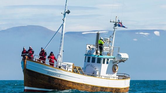 AkureyriExperiences