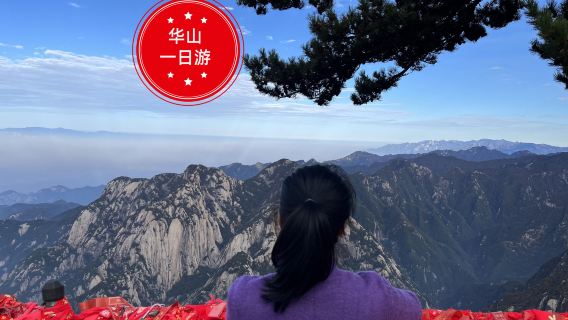 華山日帰りツアー【西安華山15名様団体・家族向け 昼食・手袋・お守り・ミネラルウォーター付き】