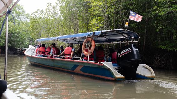2-Hour Private Tour at Royal Mangrove in Langkawi
