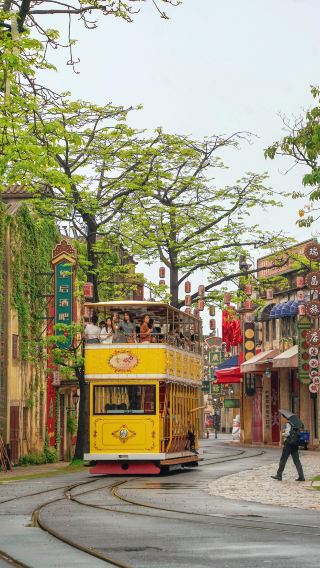Jiangmen 1-Day Tour: Gulao Water Village + Meijia Courtyard + Bird Paradise Private Charter with Chinese and English Services