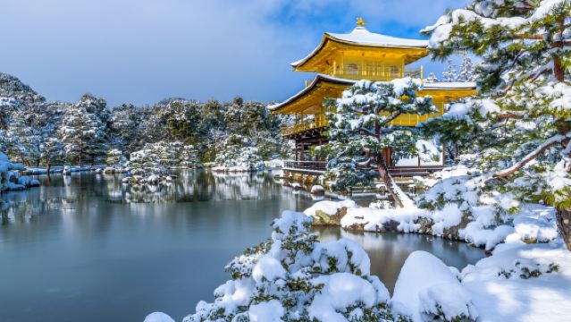 Kyoto one-day tour| Nijo Castle + Kinkakuji Temple + Fushimi Inari + Arashiyama Togetsukyo Bridge + Kimono Forest