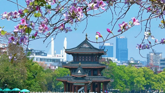 私家團專車接駁+惠州西湖+東坡祠+羅浮山風景名勝區1日遊