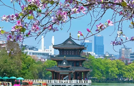 私家團上門接送+惠州西湖+東坡祠+羅浮山風景名勝區1天遊