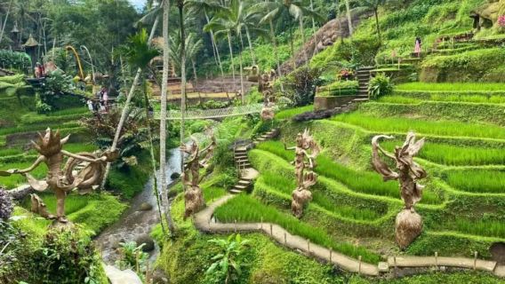 Bali Ubud Self-Guided Tour with Private Charter to Featured Attractions