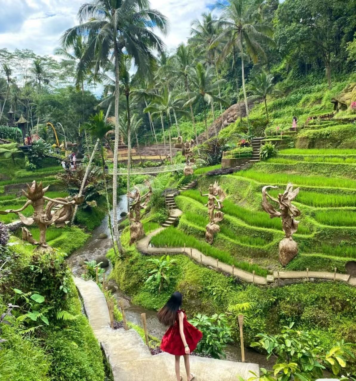 Bali Ubud Self-Guided Tour with Private Charter to Featured Attractions