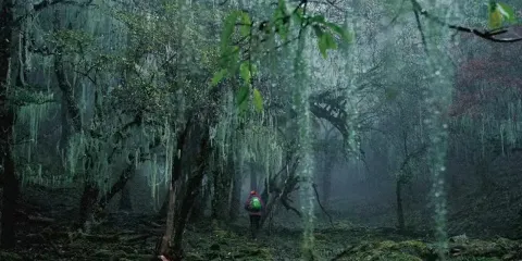 徒步麗江魔法森林波多羅-文海(單日親子路線)