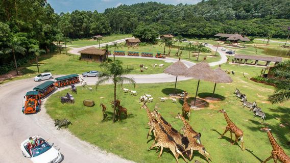 廣州長隆2天1晚/3天2晚一票多園+熊貓/長隆/香江飯店動物世界歡樂世界飛鳥樂園門票可選大馬戲體驗套餐