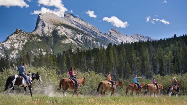 Banff: 3-Hour Bow Valley Loop Horseback Ride