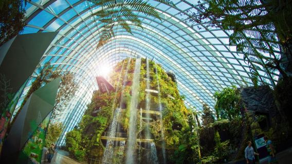 Singapore: Vé điện tử vào cửa Gardens by the Bay