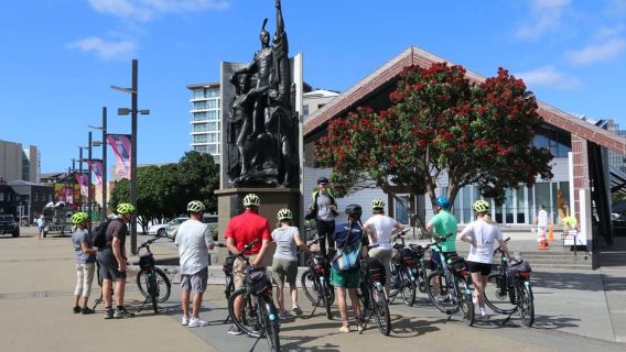 Wellington: Visita guiada en bicicleta eléctrica