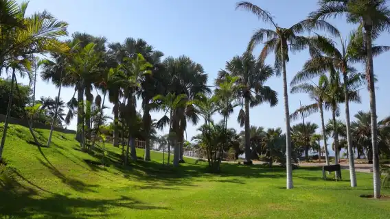 Santa Cruz de Tenerife Palmetum Entry Ticket