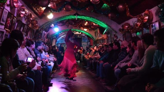 Grenade : spectacle de flamenco dans les grottes du Sacromonte