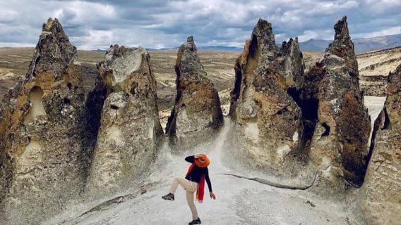 AREQUIPA: PILLONES-WASSERFALL UND STEINWALD