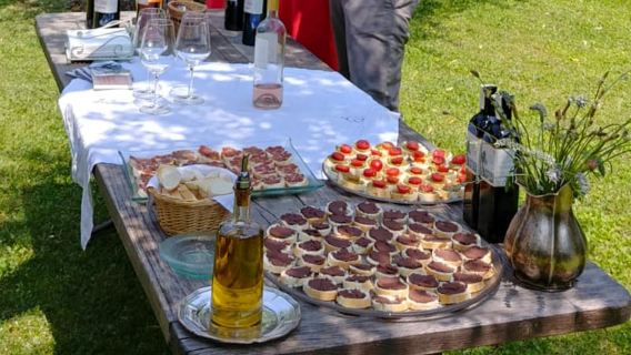 San Felice del Benaco: Weinbergtour mit Weinprobe