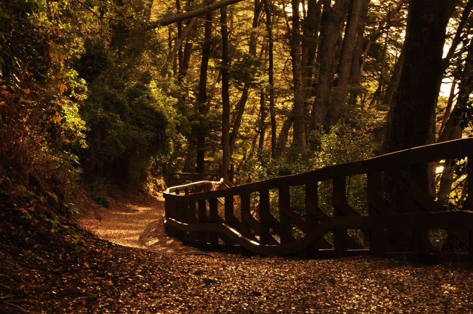 จากบาริโลเช: ทริปล่องเรือเกาะวิกตอเรียและป่าเมอร์เทิล