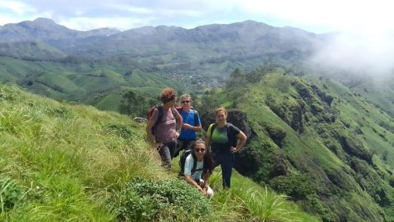 Munnar: Aventura de trekking al amanecer con desayuno