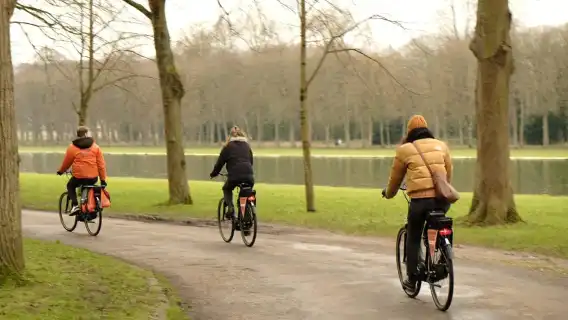 凡爾賽：荷蘭高級自行車之旅