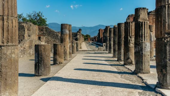 Pompeii: Tour du lịch theo nhóm với hướng dẫn viên khảo cổ học