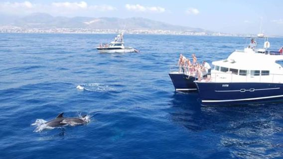 Mixed Charter