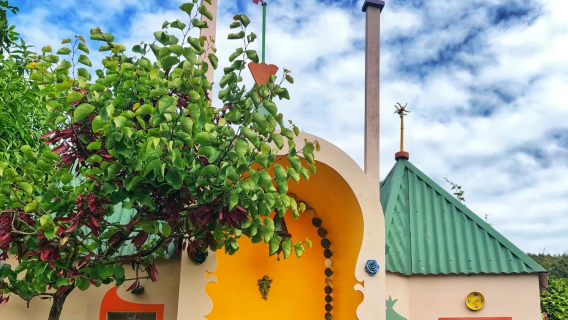 紐西蘭基督城—阿卡羅阿/羊駝農場/巨人之家一日遊【中文專車】