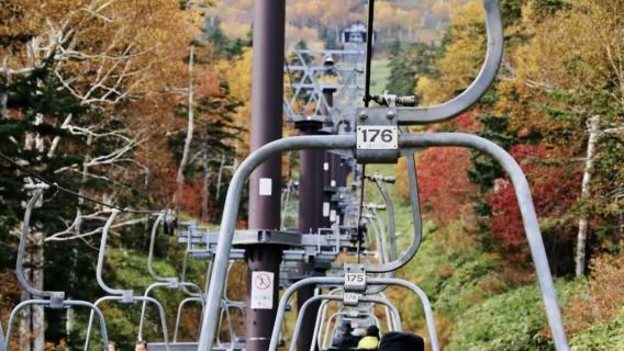 日本北海道大雪山國立公園+層雲峽【秋季賞楓/諮詢優惠】