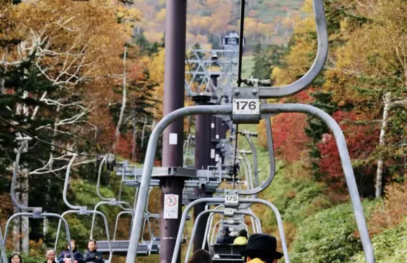 日本北海道大雪山國立公園+層雲峽【秋季賞楓/諮詢優惠】