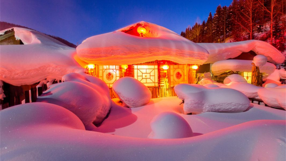 中國雪鄉+大禿頂子山一日遊【8人小團丨冰雪畫廊丨雪地摩托】