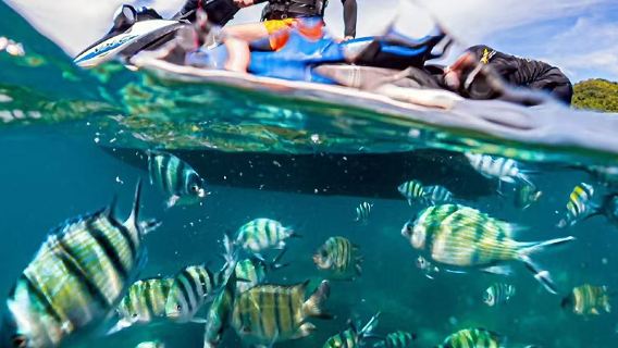 Tham quan sáu đảo bằng thuyền máy nhỏ tại Phuket