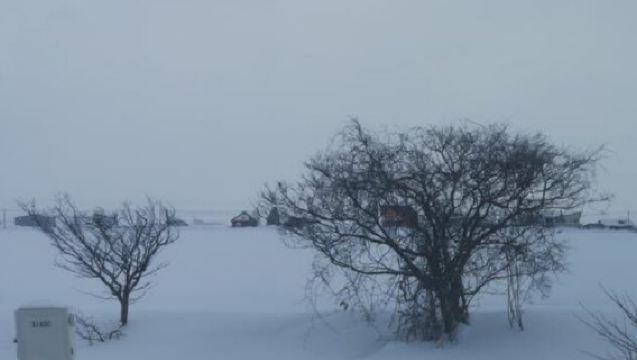 日本北海道+旭川動物園+白鬚瀑布一日遊/行程可調-可定制多日