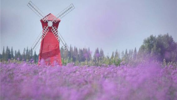 南京周邊遊：高淳老街+固城湖水慢城