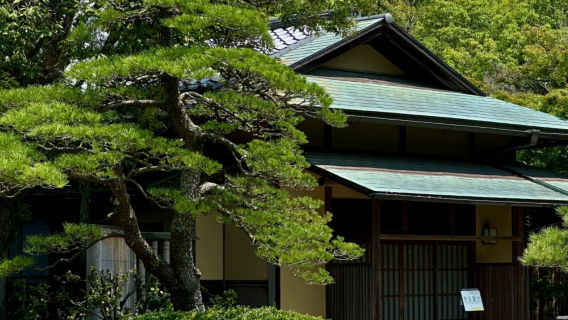 日本福岡+太宰府天滿宮+櫛田神社+天神地下街+大濠公園一日遊